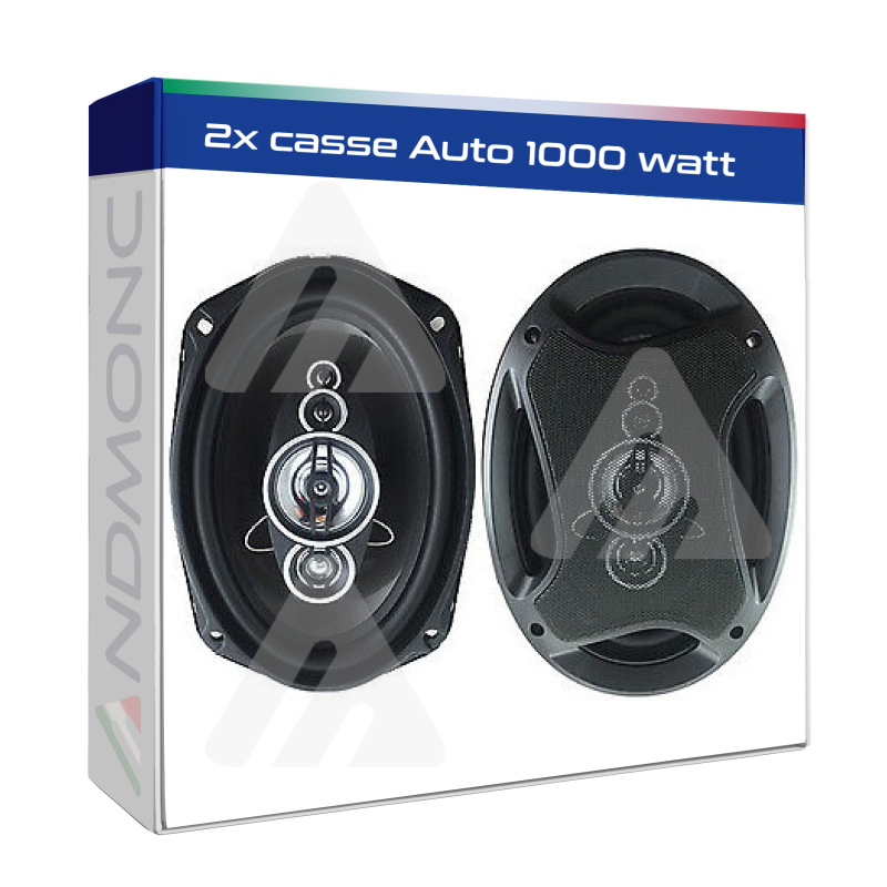 2x casse Auto 1000 watt