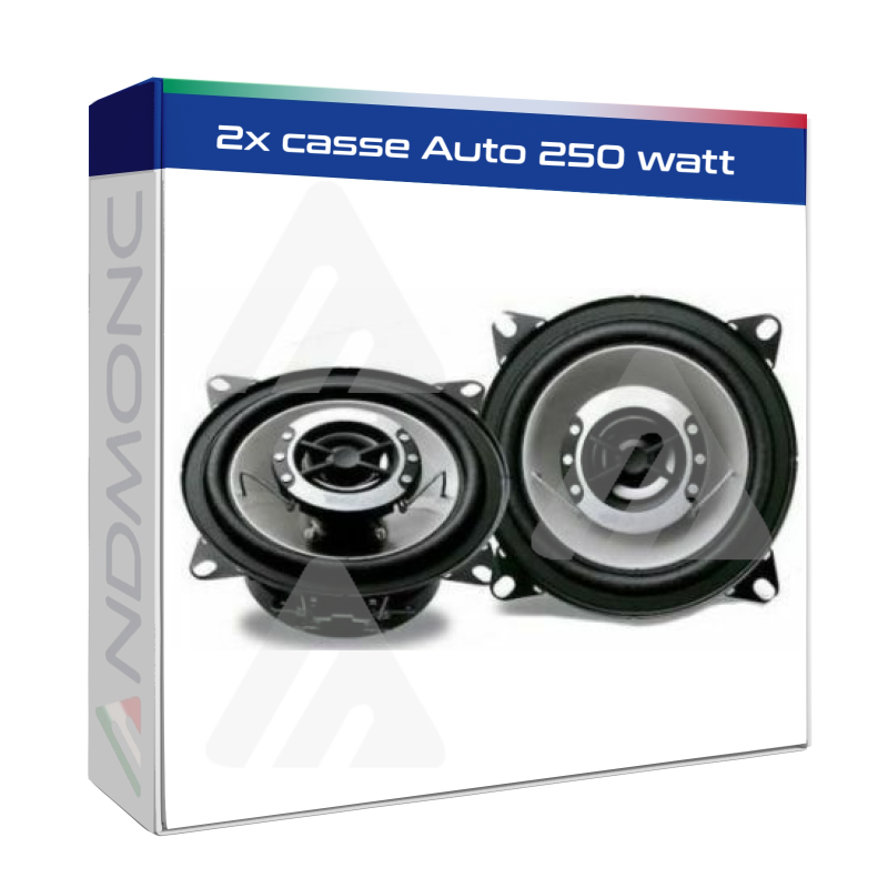 2x casse Auto 250 watt