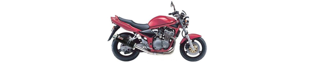 SUZUKI GSF 600 BANDIT 1995 - 2004