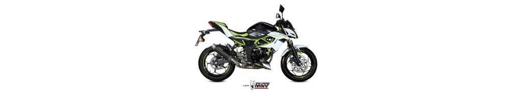 mivv KAWASAKI Z 125 2019 - 2024