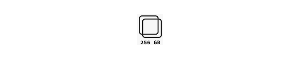 Versione 256 GB