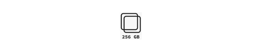 Versione 256 GB