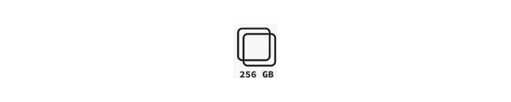 Versione 256 GB