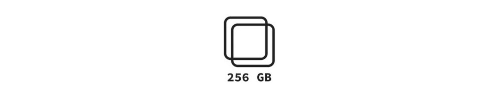 256 GB