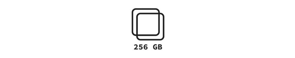 256 GB