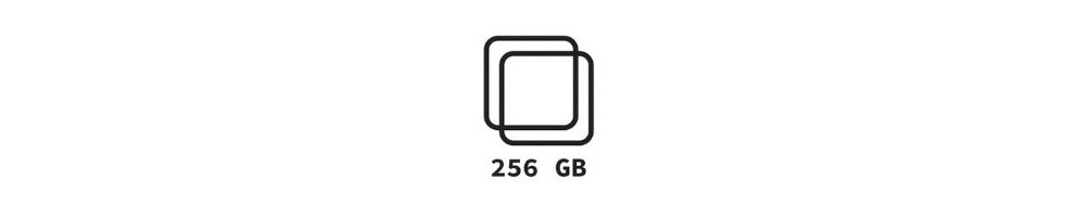 256 GB