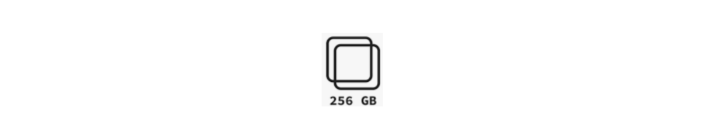 256 GB